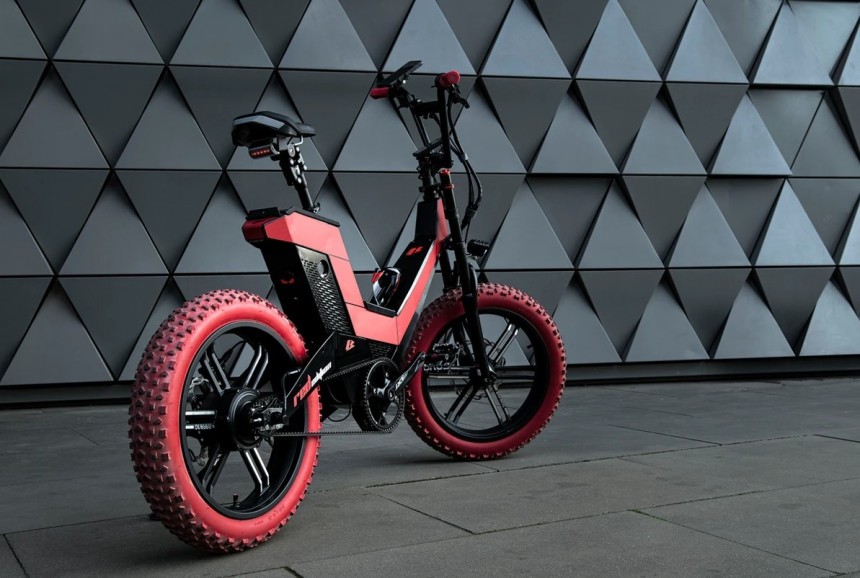The Buzzy Bike is customizable to large extent, so that each rider gets their dream machine