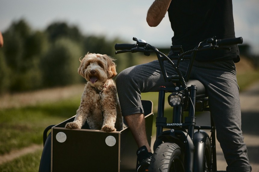 The Phatfour Sidecar is an e\-bike sidecar to take your child or pet on rides, or carry groceries