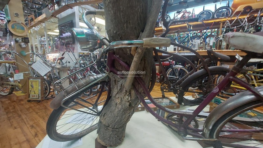 Bicycle Tree Bicycle Heaven