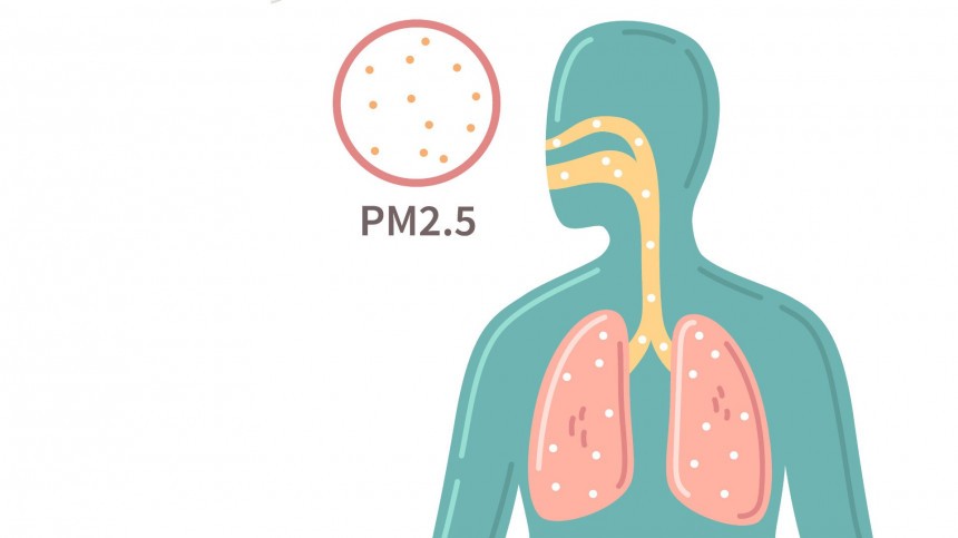 Inhaling 22 micrograms of PM2\.5 per cubic meter for 24 hours gives you the same pollution exposure as smoking one cigarette
