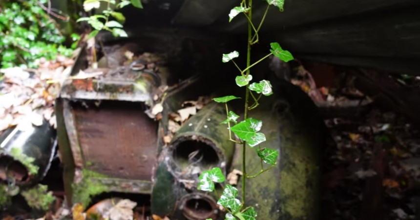 Classic Cars Forest Find
