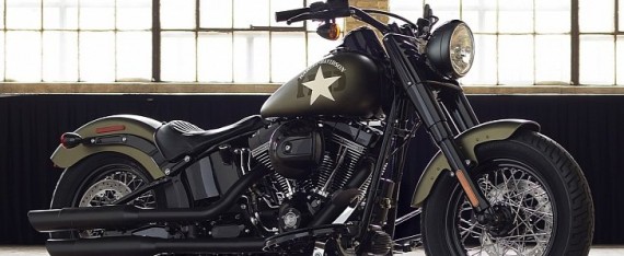 2019 Harley  Davidson  Softail  Slim S Shows Authentic Retro 