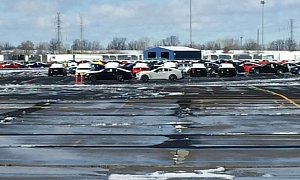 Hundreds of Shelby GT350 Mustangs Are Waiting for Their Stripes While Customers Wait for Delivery