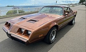11,900 Miles: 1979 Pontiac Firebird Formula Emerges With Intriguing Odometer Numbers