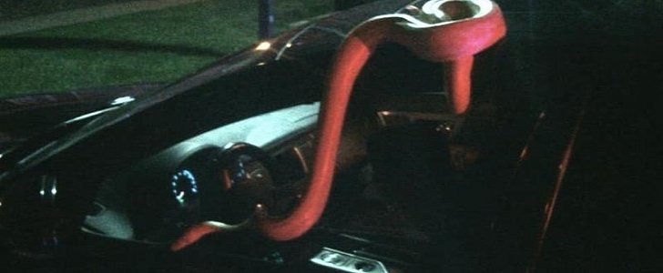 Snake slithers out of car while owner is passed out at the wheel