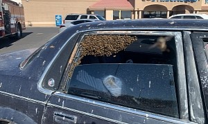 15,000 Honey Bees Turn Parked Buick Into a Home in 10 Minutes