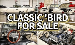 1955 Ford Thunderbird Seeks Classic Car Enthusiast, Costs Less Than a Mustang Dark Horse