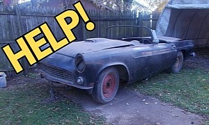 1956 Ford Thunderbird Left to Rot in a Yard Goes Online With Big Dreams
