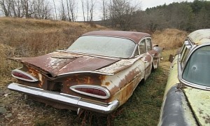 1959 Chevrolet Bel Air Rotting Away on Private Property Won’t Give Up Without a Fight