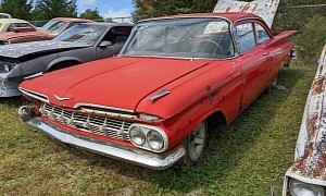 1959 Chevrolet Biscayne Lives in a Junkyard, Proves Beauty Is in the Eye of the Beholder