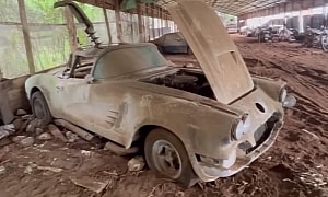 1959 Chevrolet Corvette Parked for 40 Years Shares Chicken Barn With Tens of Classics