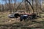 1961 Chevy Bel Air Was Left to Rot in the Woods, Comes Back to Life After 50 Years