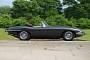 1962 Jaguar E-Type Roadster from Eagle Will Have You Drooling