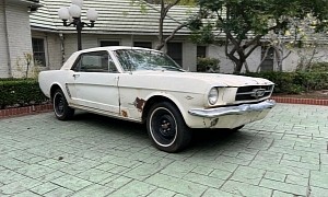 1964 1/2 Ford Mustang Found in a Colorado Garage Is Complete and Original, Rare Interior
