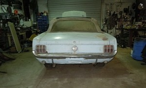 1964 1/2 Ford Mustang Stored Inside for Years Flexes a Mexican Surprise Under the Hood
