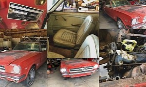 1964 1/2 Mustang Sitting for 20 Years Hopes You Like Potato-Quality Photos