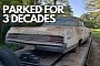 1964 Buick Wildcat Pulled From a Barn After 34 Years, Protected by an Army of Cats