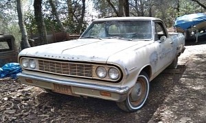 1964 Chevrolet El Camino Barn Find Stored for 25 Years Hides a Mysterious V8