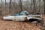 1964 Chevrolet Impala Left to Rot in a Forest Proves Legends Never Give Up