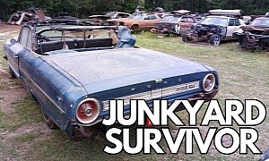 1964 Ford Galaxie 500 Is a Junkyard Survivor Whose Place Should Be on the Road