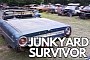 1964 Ford Galaxie 500 Is a Junkyard Survivor Whose Place Should Be on the Road