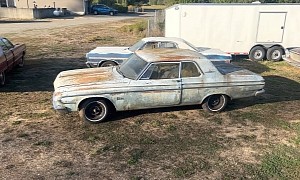 1964 Plymouth Belvedere Spent 30 Years in the Bushes, Poly V8 Refuses To Die