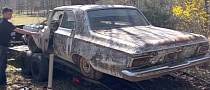 1964 Plymouth Savoy Parked for 29 Years Is a Rat-Infested Find, Gets First Wash