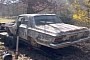 1964 Plymouth Savoy Parked for 29 Years Is a Rat-Infested Find, Gets First Wash