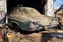 1965 Chevrolet Impala Hidden for 30 Years Surfaces in Search of a Better Life