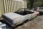 1965 Chevrolet Impala SS, Bel Air 327 Rotting Away in a Yard Beg to Get Back on the Road