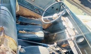 1965 Chevrolet Impala SS Looks Like It Didn’t Survive a Kitten Attack, Shiny Engine Inside