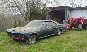 1965 Chevrolet Impala “True Barn Find” Has Been Sitting for 28 Years