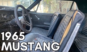 1965 Ford Mustang Abandoned After Crash, Gets Vandalized, Still Fights for Life