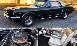 1965 Ford Mustang Convertible Shows Off Gorgeous Deluxe Pony Interior