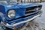 1965 Ford Mustang Flexes a Rare Color, Little TLC Needed