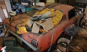 1965 Ford Mustang Found in a Barn with Windows Down, Critters Lived Inside for 35 Years