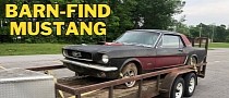 1965 Ford Mustang Is a Genuine Barn Find, Last Seen on the Road Three Decades Ago