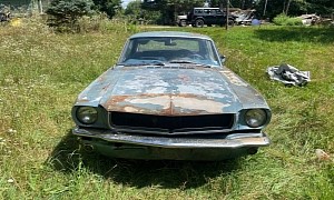 1965 Ford Mustang Parked on the Grass Isn’t the Rust Bucket You’d Expect