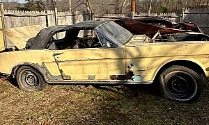 1965 Ford Mustang Rotting Away on Private Property Deserves a Better Fate
