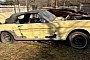 1965 Ford Mustang Rotting Away on Private Property Deserves a Better Fate