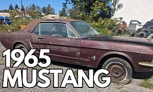 1965 Ford Mustang Rotting Away Outside Hopes You Won't Look Under the Hood