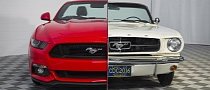 1965 Mustang Conjoined with 2015 Mustang for Art’s Sake