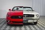 1965 Mustang Conjoined with 2015 Mustang for Art’s Sake