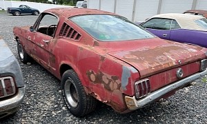 1965 Mustang Fastback Fighting for Another Chance After Humanity Ignored It for Years