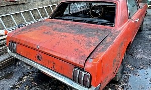 1965 Mustang Sitting for Years Looks Bad at First, Not That Bad at Closer Inspection