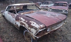 1966 Chevrolet Chevelle Sitting for Too Long Is Enough to Make a Grown Man Cry