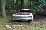 1966 Chevrolet Impala Parked in a Forest Hopes Nobody Looks Under the Hood, Goes for Cheap
