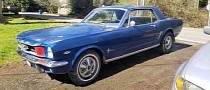1966 Ford Mustang Barn Find Parked Since 1984 Flexes Original Engine, Still Runs