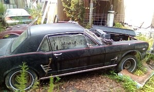 1966 Ford Mustang Battling With the Plants Needs Total Restoration