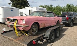 1966 Ford Mustang in "Playmate Pink" Parked 35 Years Ago Is an Extremely Rare Barn Find